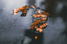 贞观政要 • 唐太宗：戒奢以俭积德义，节己顺民淳风俗图片