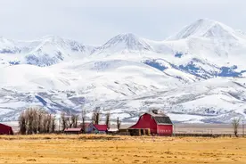 赏析《沁园春·雪》图片