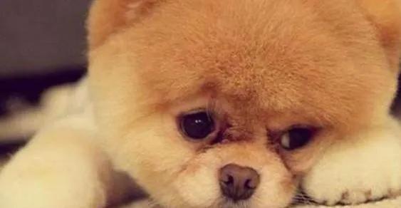 2022最新被冤枉委屈压抑憋屈的句子,被冤枉发朋友圈心情说说