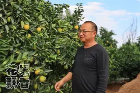 褚橙管理模式的精髓：大锅饭永远是不会成功的图片