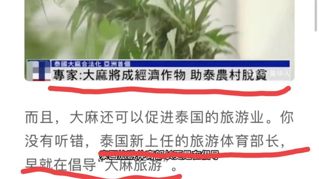 为何慎重前往泰国旅游？这个博主比心医林霖说得更具体！