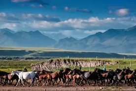 祁连山:滋养河西走廊的水塔,阻挡内蒙新疆青海荒漠连成一片的屏障图片