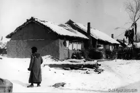 1968，我在北大荒的那些年，一组北大荒知青的老照片，难忘的记忆图片