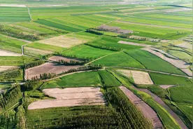 二轮土地延包30年，当时放弃承包、新增的人口没有地，怎么解决？图片