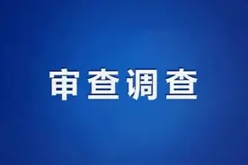 中国林产品集团有限公司副总经理张旭接受纪律审查和监察调查图片