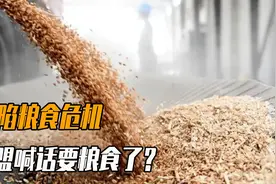 欧洲陷粮食危机，求助俄无果，欧媒喊话中国：释放储备粮救欧洲图片