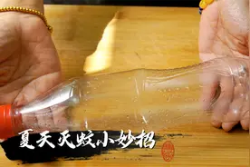 夏天蚊子多别发愁，只要一个“塑料瓶”，蚊子消灭光，先收藏了图片