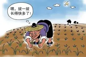 中华寓言故事-拔苗助长图片