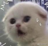 就算你不登录微信，这几个文件要是没删除，别人也能查看聊天记录