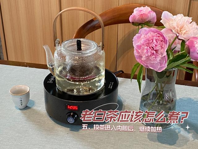 没有炖壶的养生壶怎么煮花胶 2026年没有养生壶怎么煮花茶