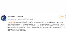 违规携带小动物登机女子已被行拘 宠物能否带上飞机？图片