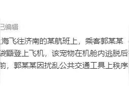 违规携带小动物登机女子已被行拘 宠物能否带上飞机？图片