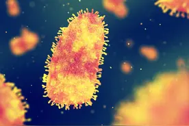 为啥我们狂犬疫苗用量世界第一，效果世界倒数第二？问题在哪里图片