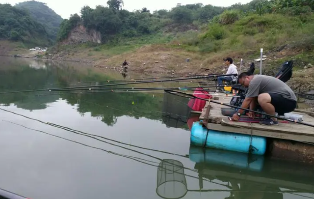 使用钓鱼添加剂不要只盯着小药，这些生活常见品效果更好
