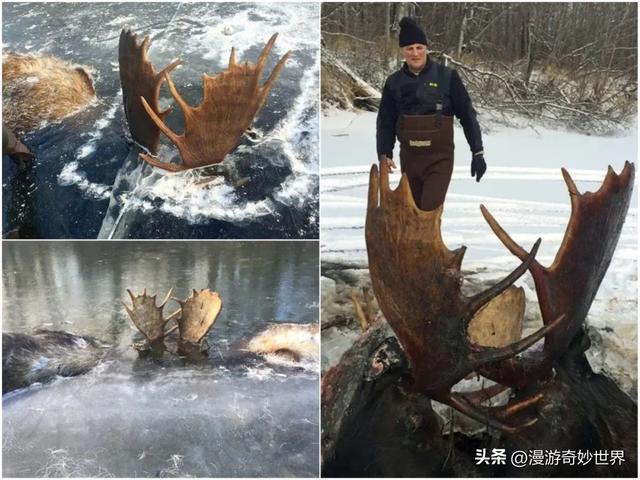 看完这组震撼的图片，才明白大自然有多可怕…