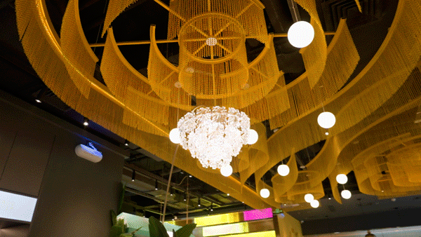 吃完榴莲可以喝花胶汤吗 2025年榴莲可以和花胶一起煲汤吗