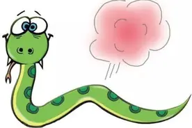 菜花蛇无毒，为什么被称为“百蛇之王”，为什么毒蛇会怕菜花蛇？图片