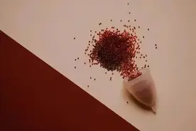 二年级课堂作文鉴赏《爱哭的我》7488号 王梓瑄图片