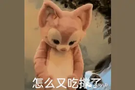 他们不仅都在谈恋爱，还几乎人手一辆豪车？！图片