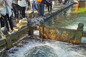 济南市开往章丘莱芜平阴的公交也对老人免费了，敬老爱老是美德图片