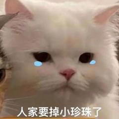 11岁就是小戏骨？徐巍罗圈粉无数，檀健次宋威龙童年都是他？