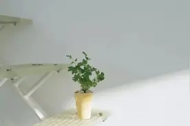 人这一生，都在为认知买单图片