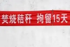 秸秆还田弊端显现，这次真的是专家错了图片