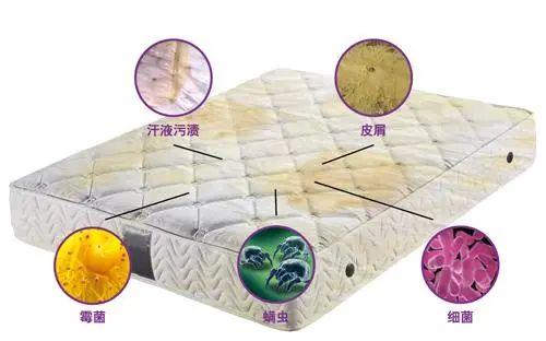 「好百邻软装清洗」沙发,地毯,床垫深度清洗除螨,即洗即用