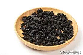 桑葚的中医应用方法和注意事项，收藏图片