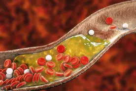 血脂越低越好吗？血脂对人体有好处吗？血脂降到这个水平才理想图片