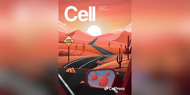 今日Cell：肠球菌如何毒害宿主细胞？发现关键毒素