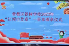 曾都区铁树学校举行红领巾奖章一星章颁章仪式图片