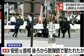 安倍晋三遭近距射杀，刺客所用散弹枪威力究竟有多大图片