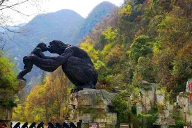 湖北神农架野人事件，解密神农架真有野人出没吗(应是棕熊)图片