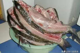 腌腊鱼，不要只会抹盐，掌握好“3个细节”，腊鱼好吃不臭图片
