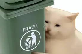 杨幂气到当场老了10岁？网友笑哭：跟刘恺威离婚都没这么生气图片