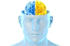 人类大脑真的95%未使用吗？图片