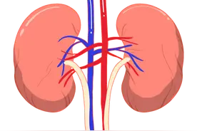 肾精不足百病生，一盒中成药，横扫耳鸣、齿松、脱发、举而不坚图片