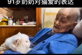 91岁的奶奶和8岁猫咪告别：以后我不在，你要乖乖的...图片
