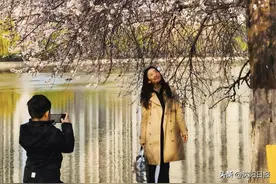 处处“桃花源”：沈阳十佳赏桃花地点推荐来啦！图片