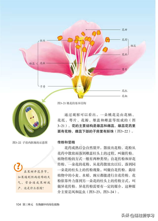 初二生物上册课本(生物学七年级上册电子版) - 人生攻略