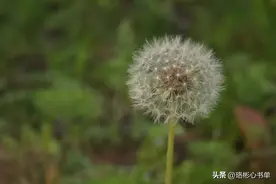 人与人之间，能处就处，不能处就算了图片