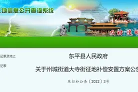 政策速递！山东省东平县发布征收土地补偿安置公告图片