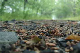 正确对待你眼中的光明与黑暗？图片