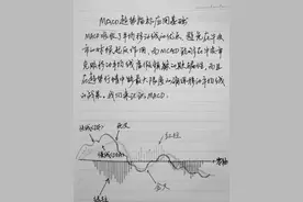 我炒股15年，已经保持了10年的高盈利！总结了6条铁律分享给大家图片