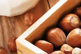 吃个明白：补充“好脂肪” 少不了它——榛子图片