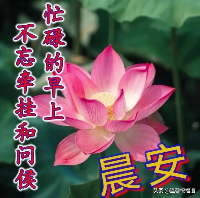 创意唯美亲人朋友早上好祝福语图片大全免打字 清晨早安问候语图片
