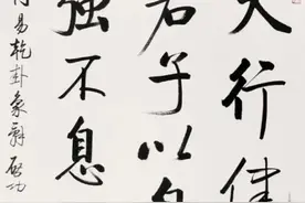 天行健，君子以自强不息，启功、周慧珺、苏士澍等众名家书法图片