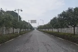 未来株洲每年要增长八万人口图片