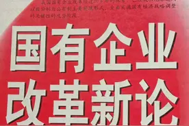 先要认清“新时代国有企业”的性质与特征一一对话宁高宁图片